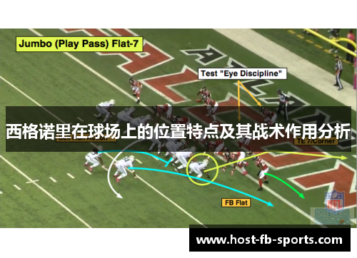 西格诺里在球场上的位置特点及其战术作用分析 西格诺里在球场上的位置特点及其战术作用分析