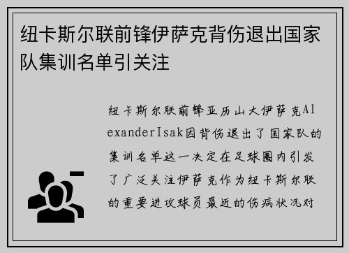 纽卡斯尔联前锋伊萨克背伤退出国家队集训名单引关注